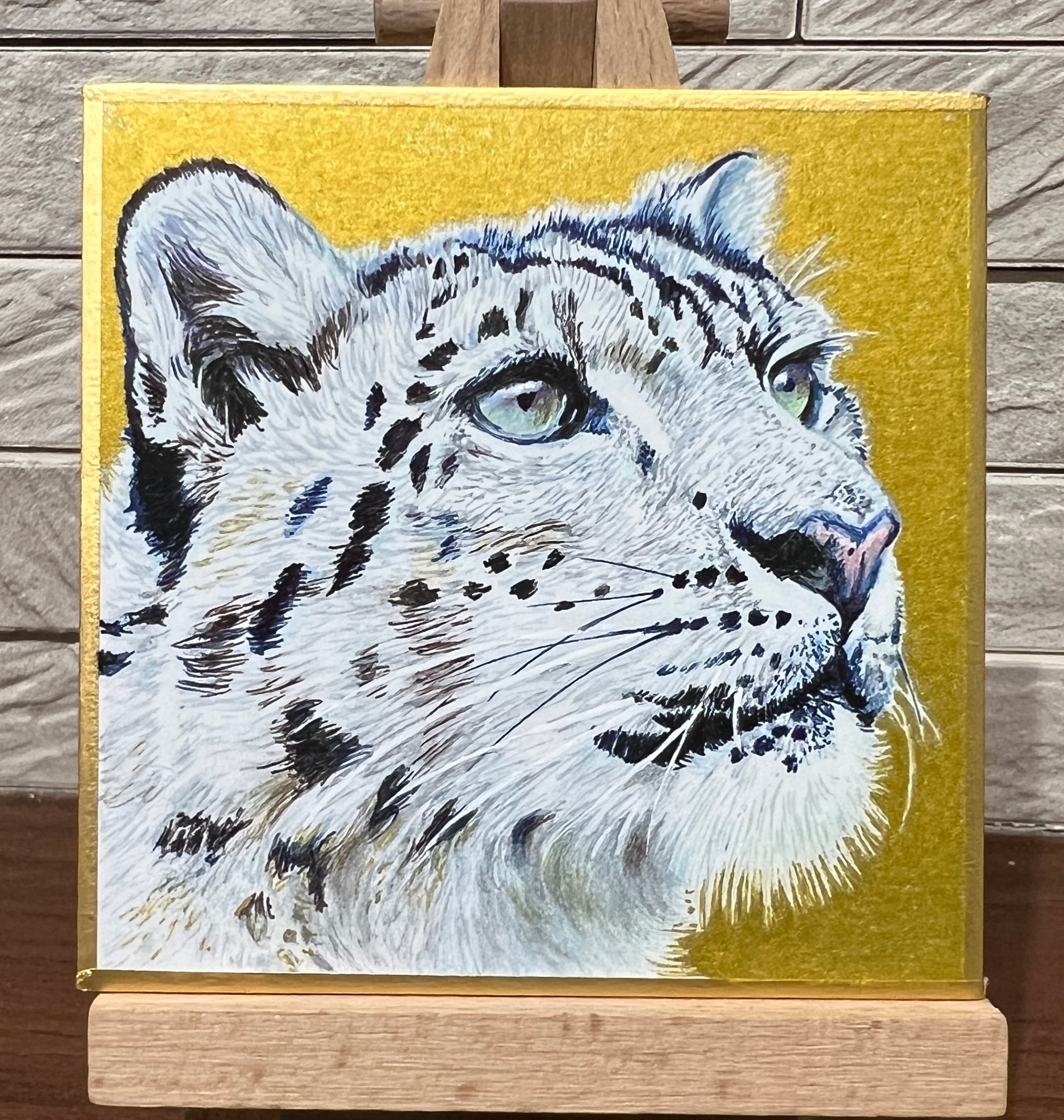 磯野キャビア ZOO