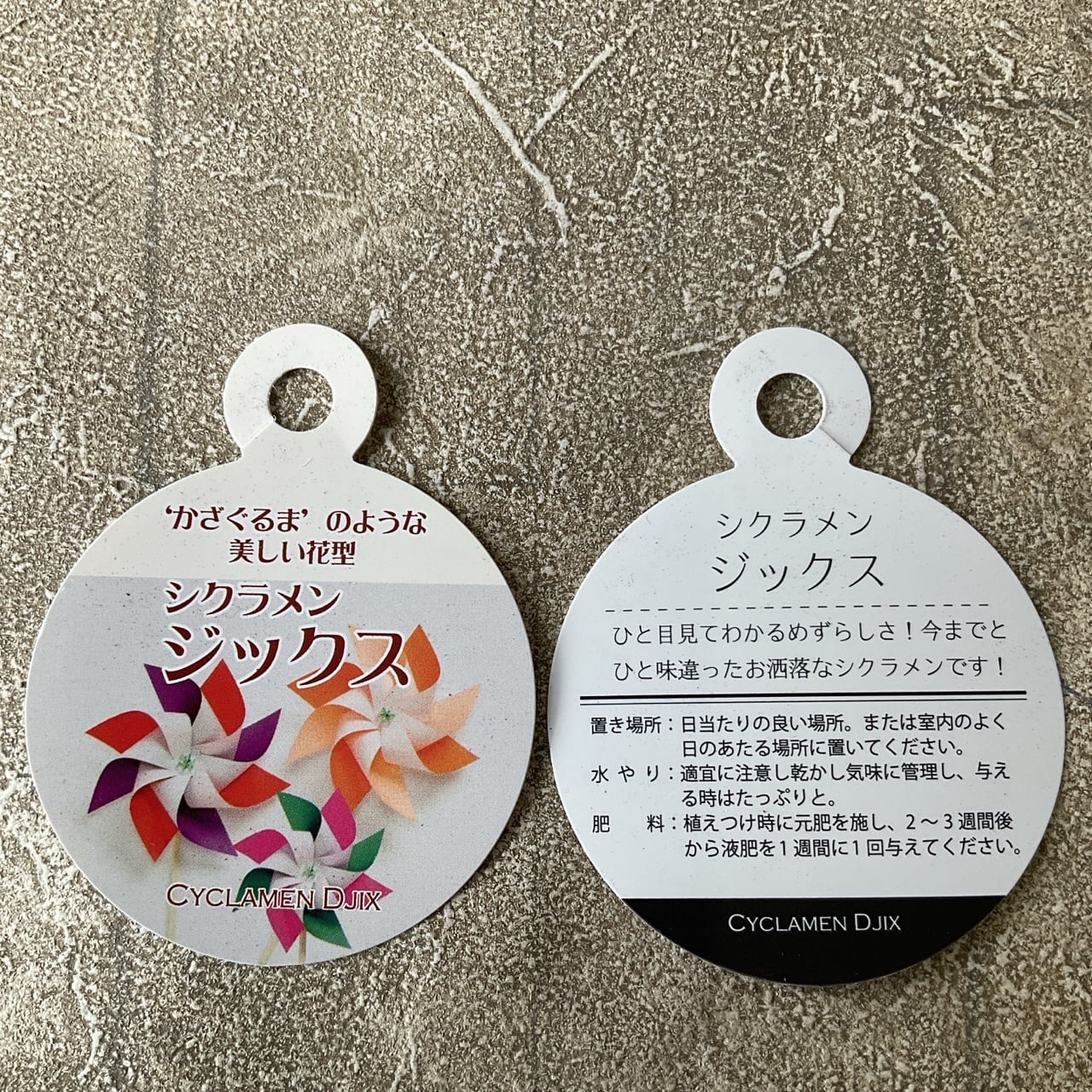 ★キラキラ☆★☆銀製菓子鉢 荻 / GILA 05 - 02 / L / 約 φ14.5cm / 植木鉢 – ハチラボ