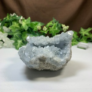 3.空色セレスタイトに住み着いているフローライトハリネズミさん