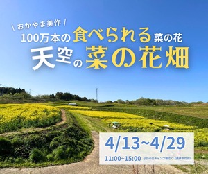 ＊入場券＊菜の花畑【中学生以上チケット4月13日～29日まで有効