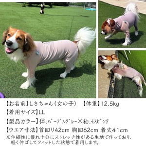 スキンフィット|コーイケルホンディエ用|オーガニックコットン&抗菌消臭効果生地