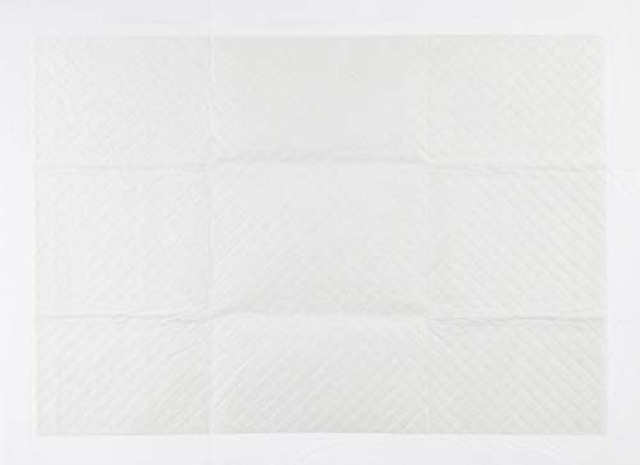 Jpcs Amazonブランド Wag ペットシーツ 薄型 レギュラー 1回使い捨て 300枚 Japan Classic Store