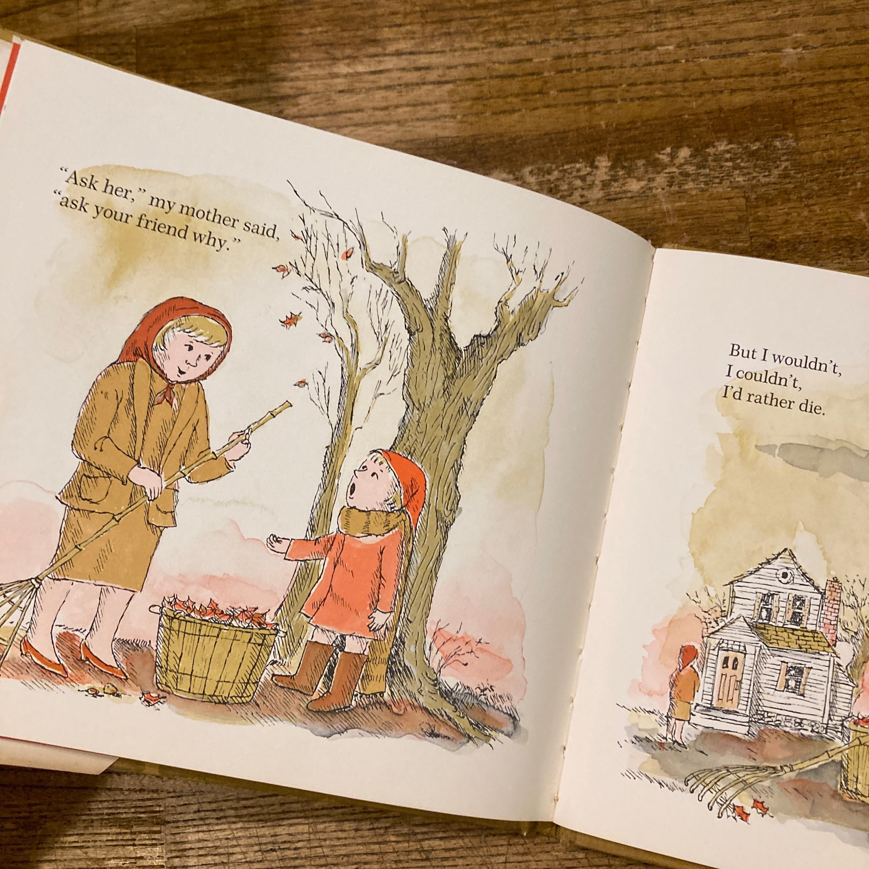 The Hating Book Charlotte Zolotow Ben Shecter 邦題 けんか