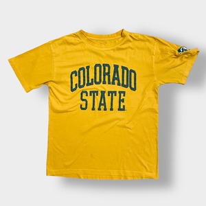 【P2】刺繍 カレッジロゴ コロラド州立大学 Tシャツ COLORADO STATE アーチロゴ L 袖ロゴ イエロー US古着