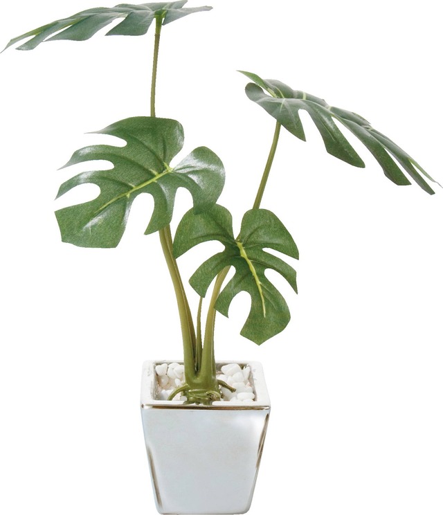 モンステラ　　GLA-1173　4961823351372　造花（アーティフィシャルフラワー） > 観葉植物
