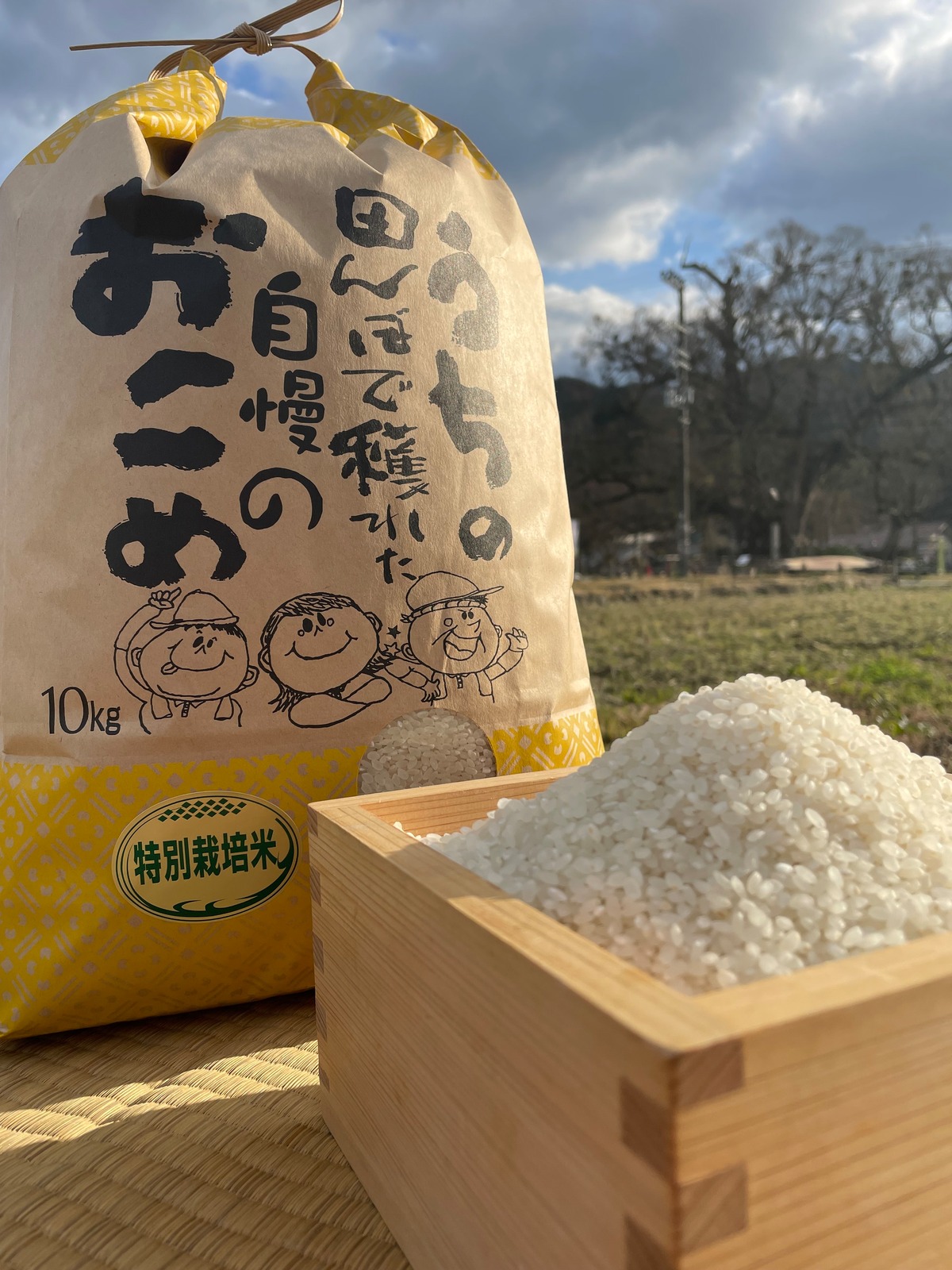 特別栽培米 10㌔ 向井米穀店