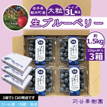 国産冷凍ブルーベリー 極上 1㎏ | PAY ID