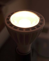 植物育成LED電球 15W 暖色 ホワイトボディ