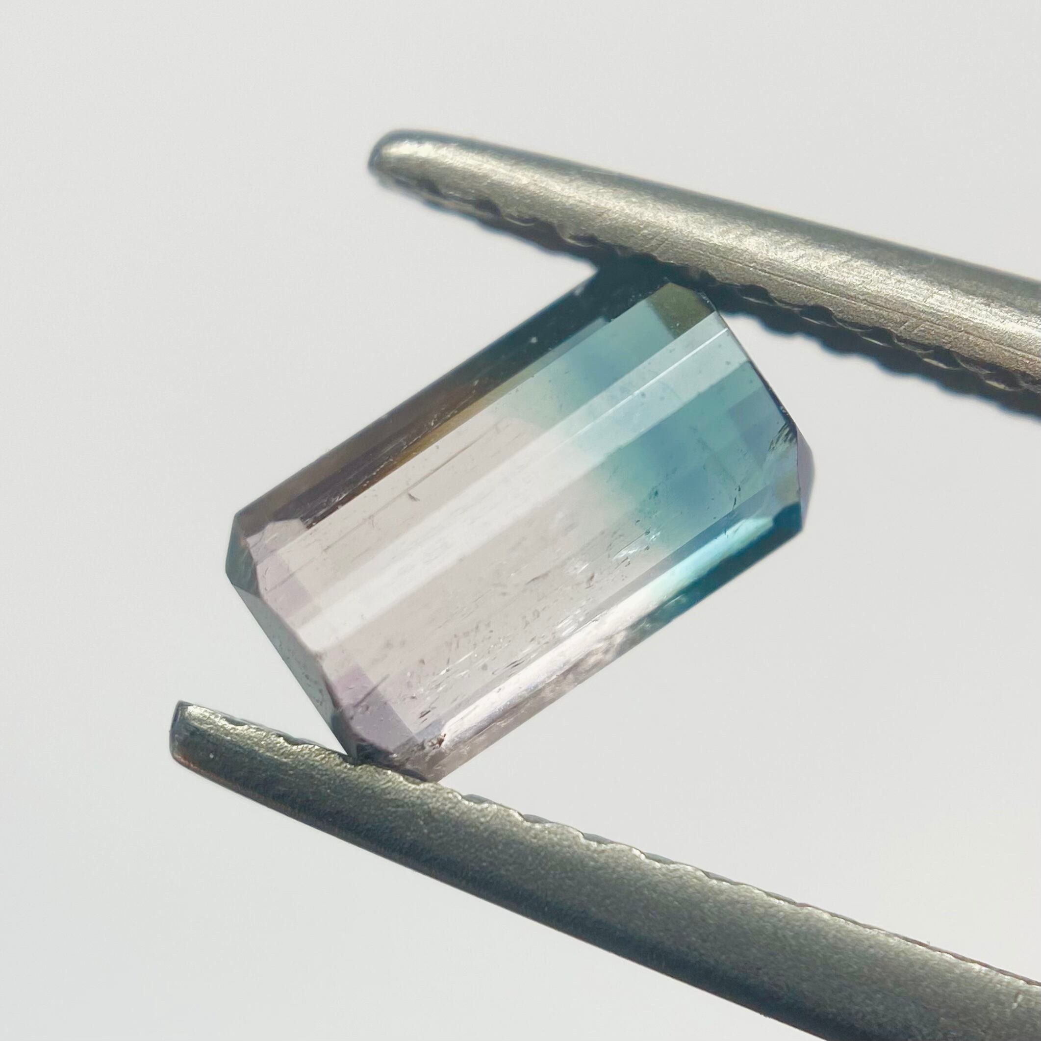 桜と海　トルマリン