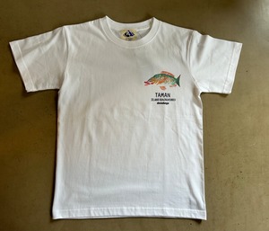 devadurgaデバドゥルガ　TAMAN TEE