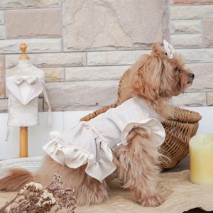 Warm & Cozy – Pet Dress〈XS〉