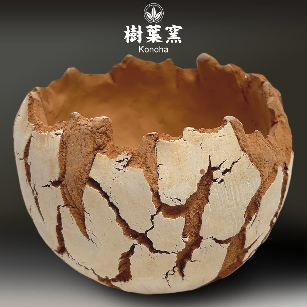 完売】素焼き植木鉢（縄文土器デザイン）※植物付き | KONOHA