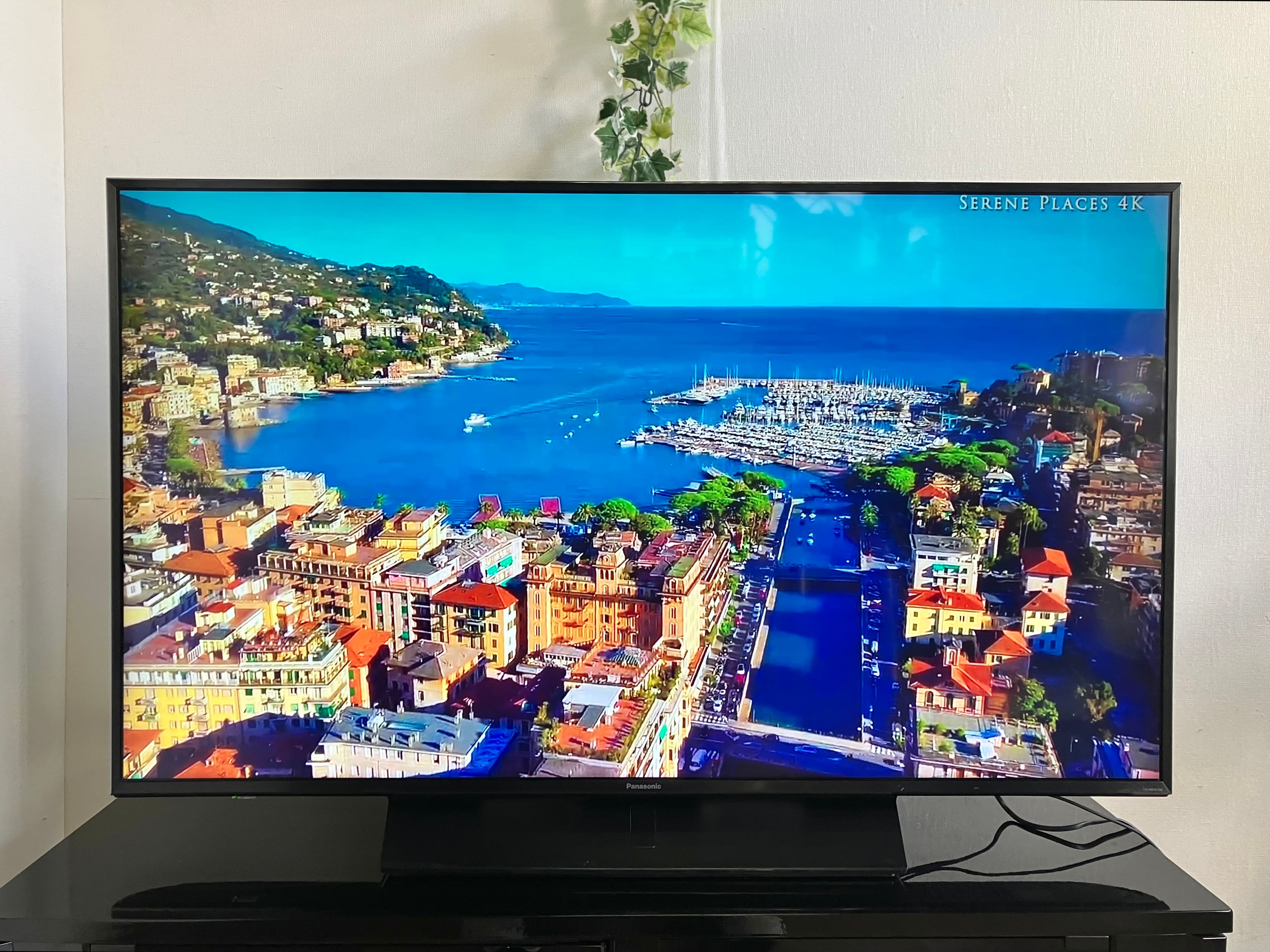 液晶テレビ　49型　Panasonic VIERA  3点セット Amazon | パナソニック 49V型 液晶テレビ ビエラ TH-49EX850 4K 2017年