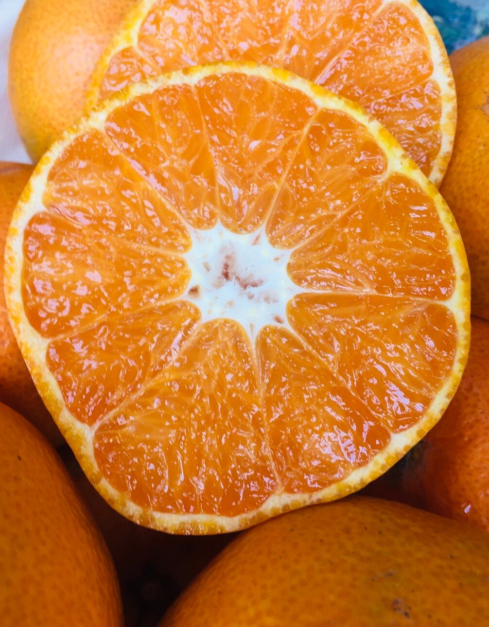 贈り物】熊本産みかん3Kg | 【公式】通販CHIKYU 麹町DELI