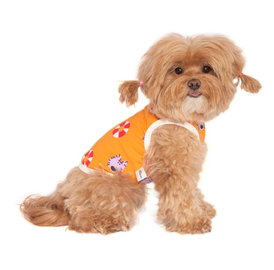 予約【noonoosoom】noonoo buddy FAN Tee (Orange)