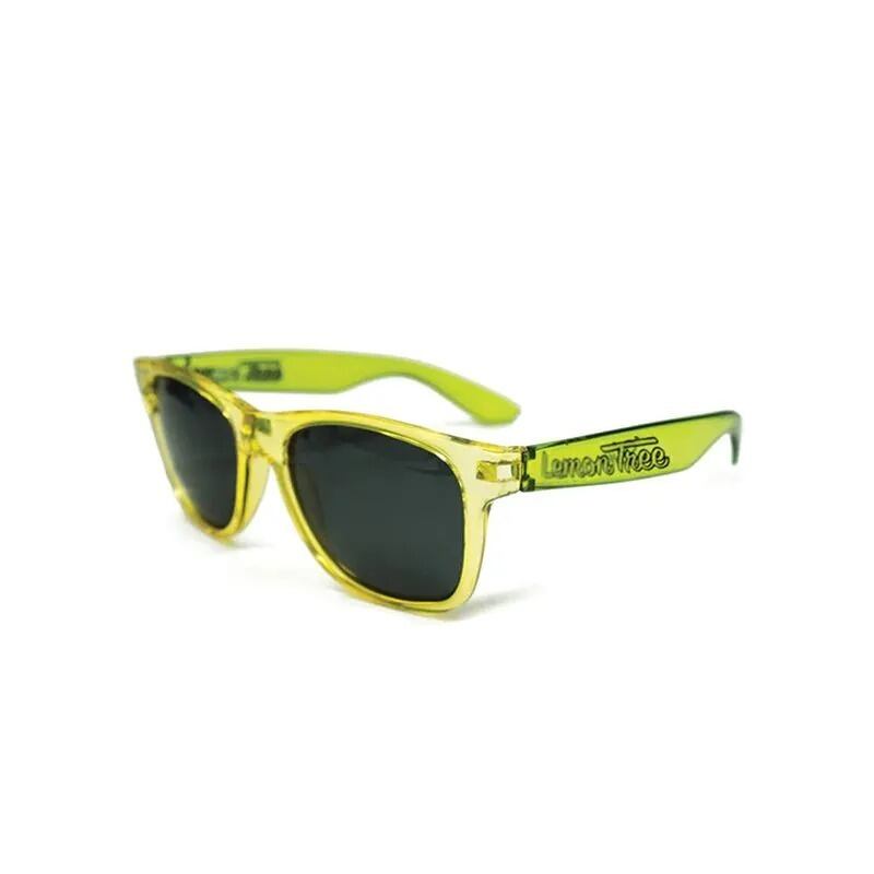 日本未発売 stay up movement × LEMON TREE サングラス slightly