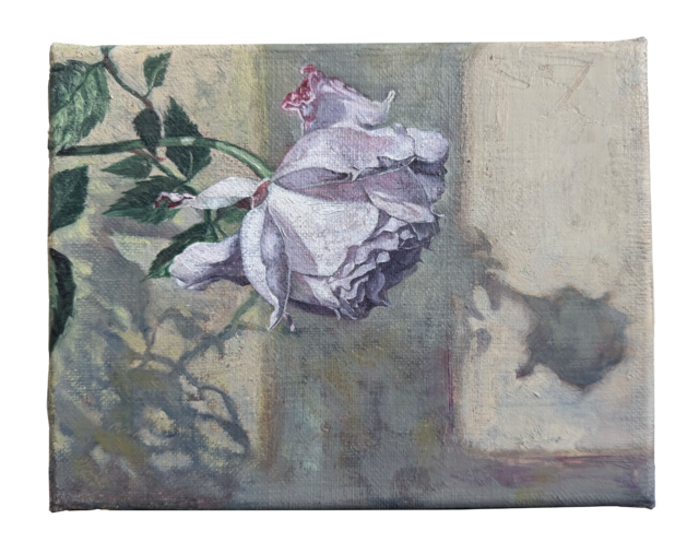LARVA Specimen No.003 | ROSA LIMEN oil on canvas