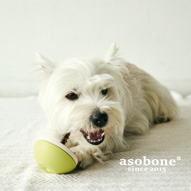 【アキレスの丸のみ防止に！】アソボーン　玉露　