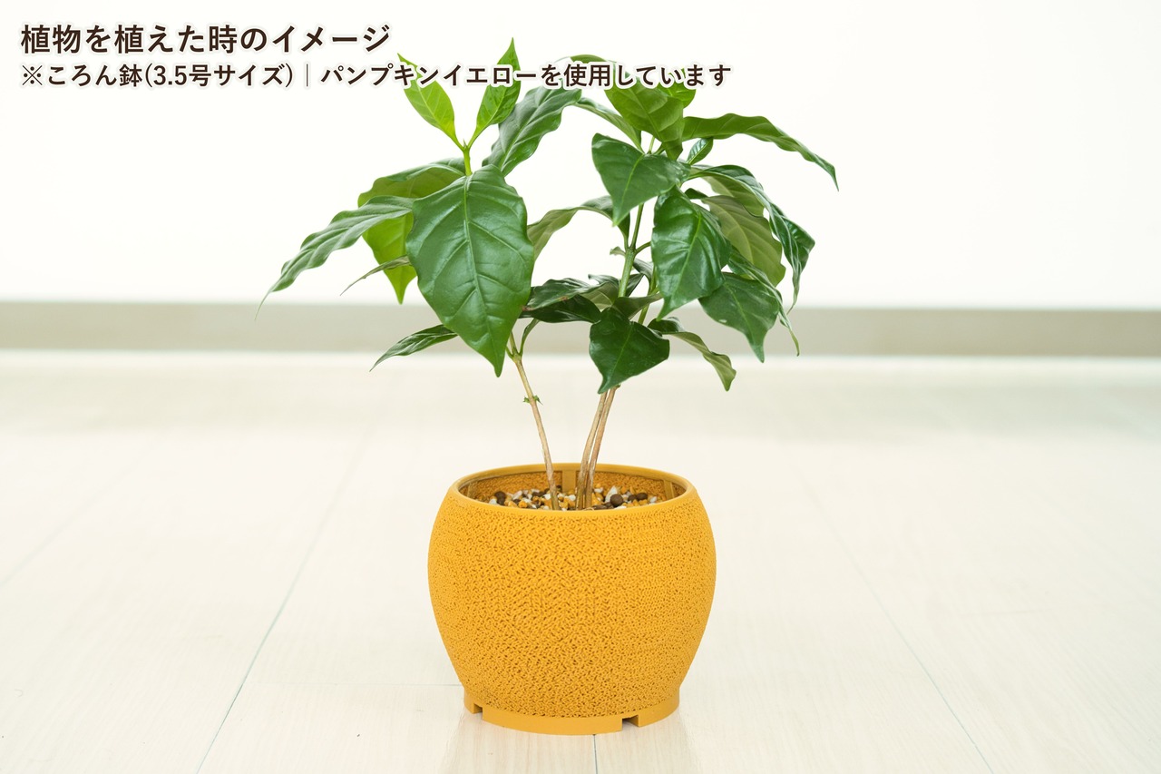 ころん鉢(3.5号サイズ)｜ブラック
