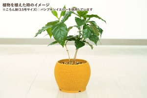ころん鉢(3.5号サイズ)｜ブラック