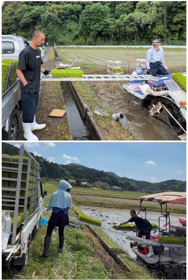 苗送るんジャー＆苗取り棒SET