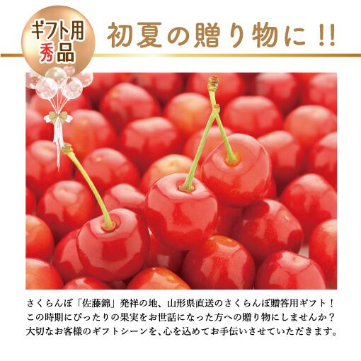 佐藤錦 2L 1kg 並び 2026年6月発送 | みちのくギフト