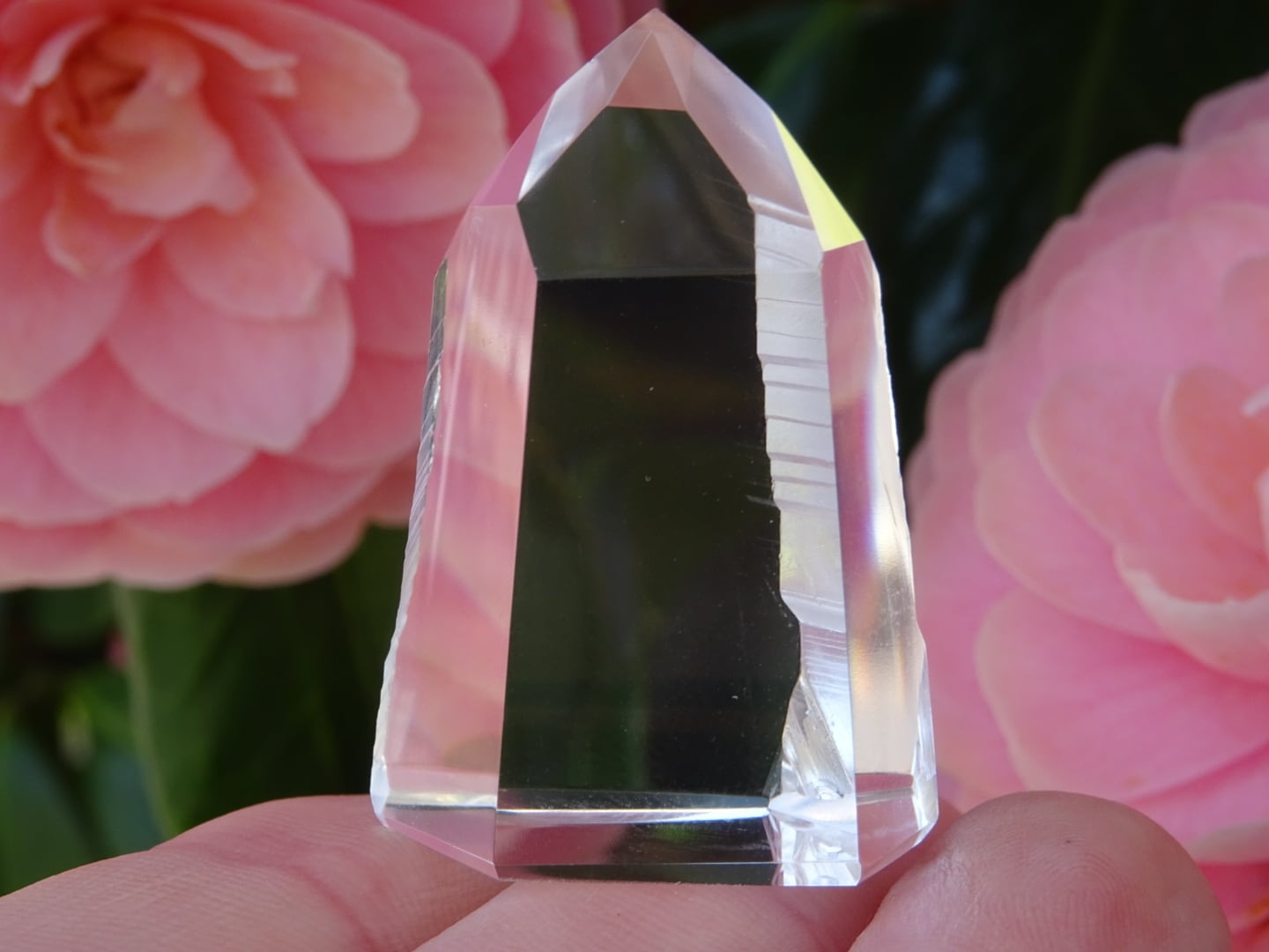 ピュアレイ(レムリアンシードクリスタル、ダウ、High Quality) ~Inner Sanctuary~