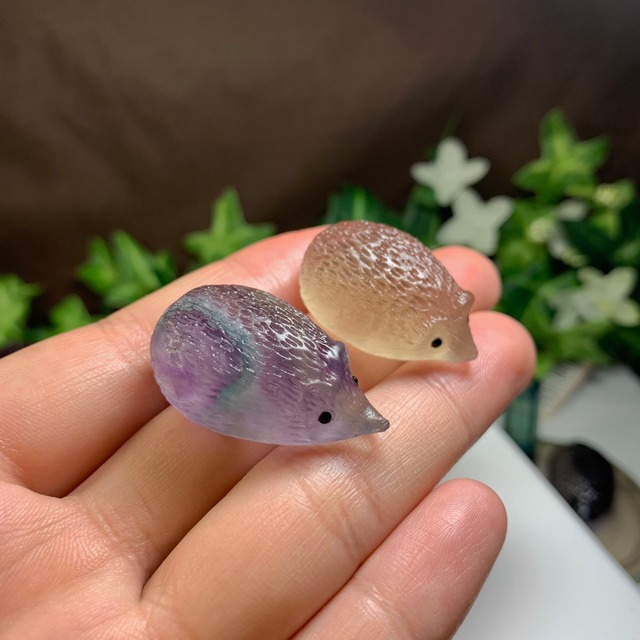 3.フローライトハリネズミさんの住処・~ハリーさんの休憩所~