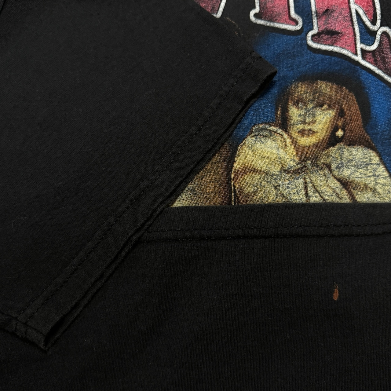 【STEVIE NICKS】スティーヴィー・ニックス "TROUBLE IN SHANGRI-LA TOUR" 00's Vintage RAPTeeデザイン Tシャツ