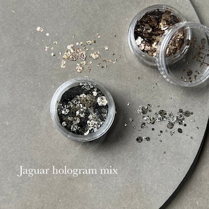 Jaguar hologram mix