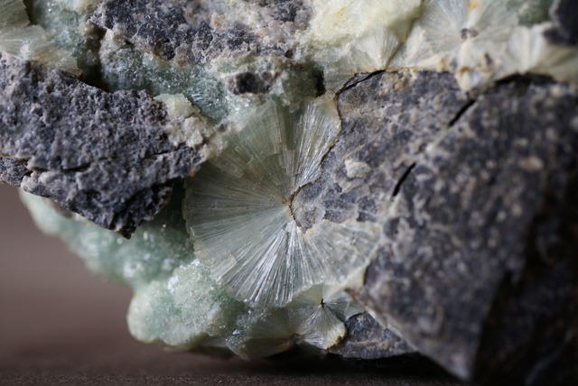 ワーベライト Wavelite  984