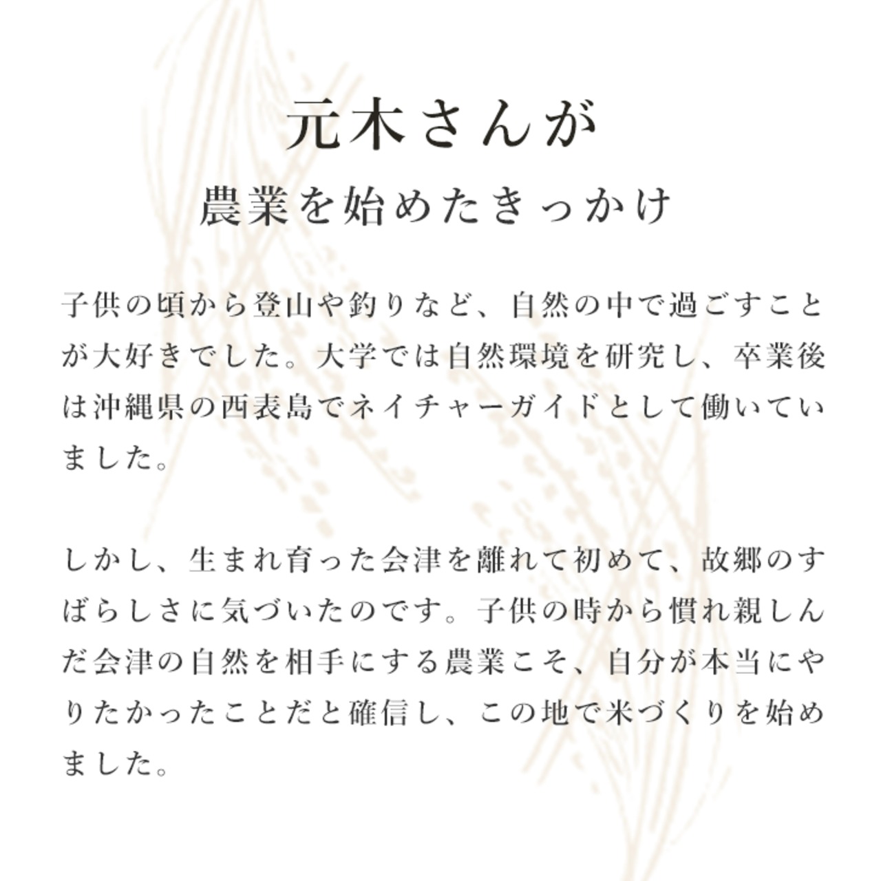 【新米】【福島県産】元木農園「コシヒカリ」5kg　-栽培期間中、農薬・化学肥料不使用-