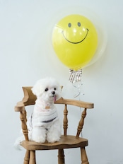 BUBBLE BALLOON sizeM ブルー