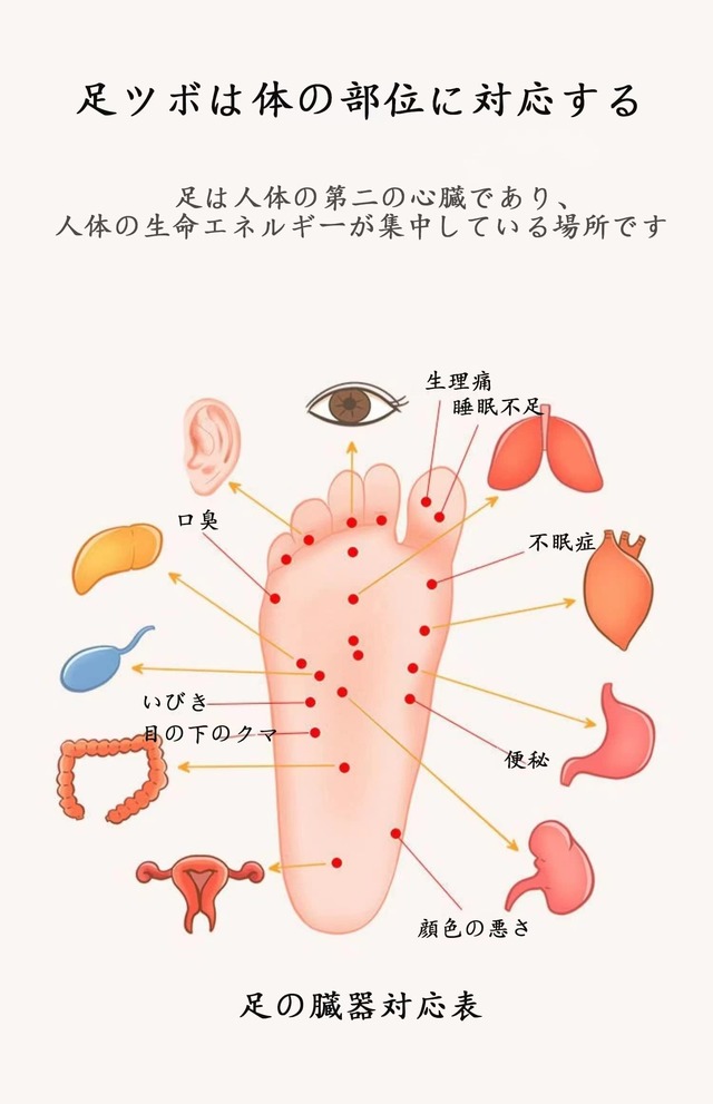 WiViVi 足 マッサージ 機 血行改善 リラックス ストレス解消 疲労解消 足裏 マッサージ 器具 足ツボ 足ツボマッサージ ローラー 足つぼ フットマッサージ あしつぼ foot massager machine ツボ押し グッズ (白)