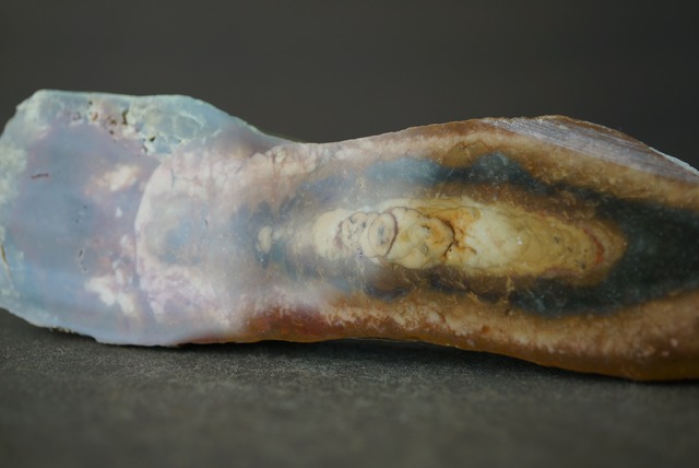 モリソナイト・ジャスパー Morrisonite Jasper 1419