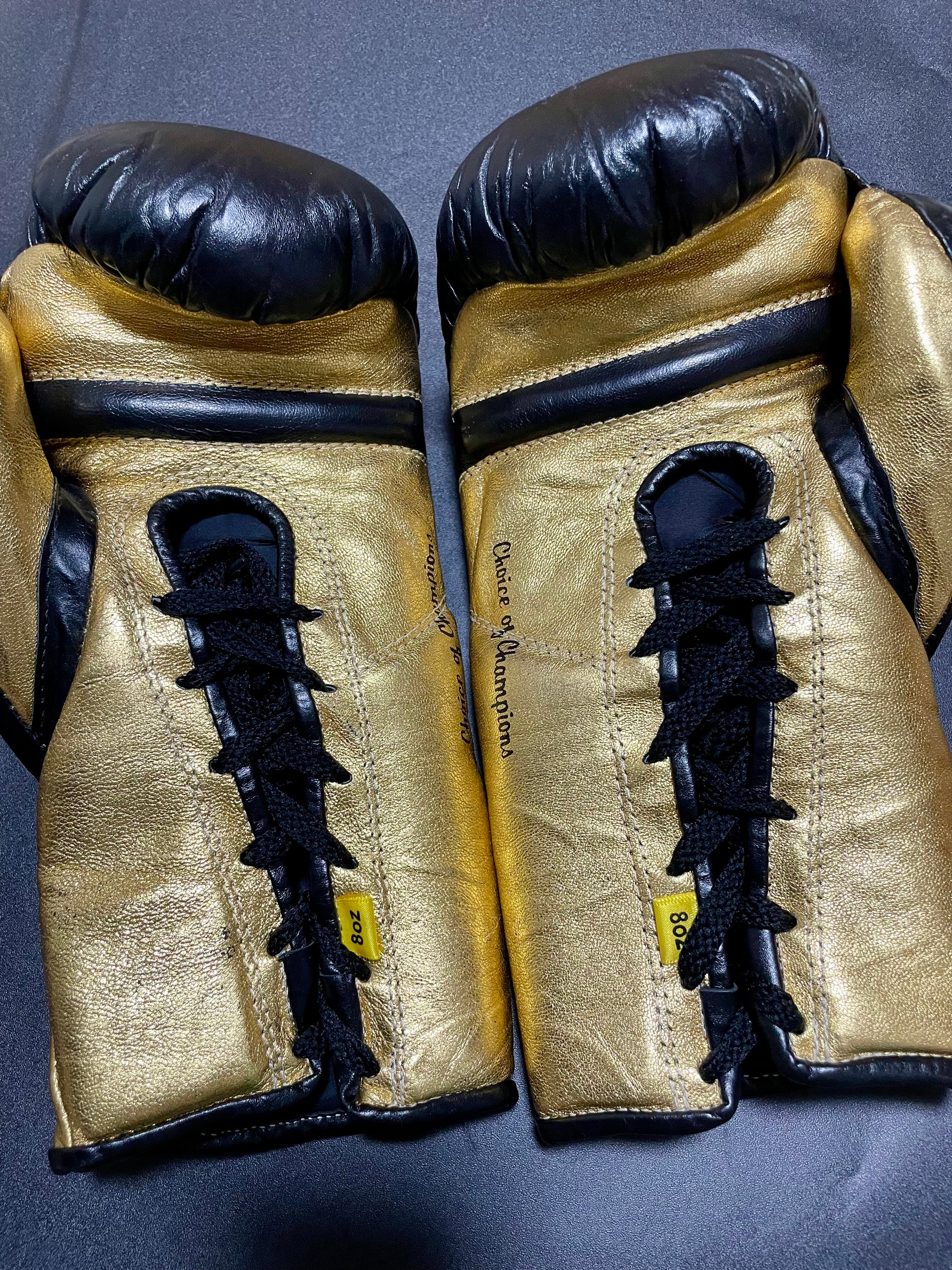 試合用ストックモデルEverlast エバーラストMXプロファイトグローブ