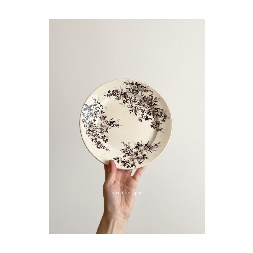 Choisy le roi ショワジールロワ / “Pompadour” brown ポンパドールの平皿プレート c