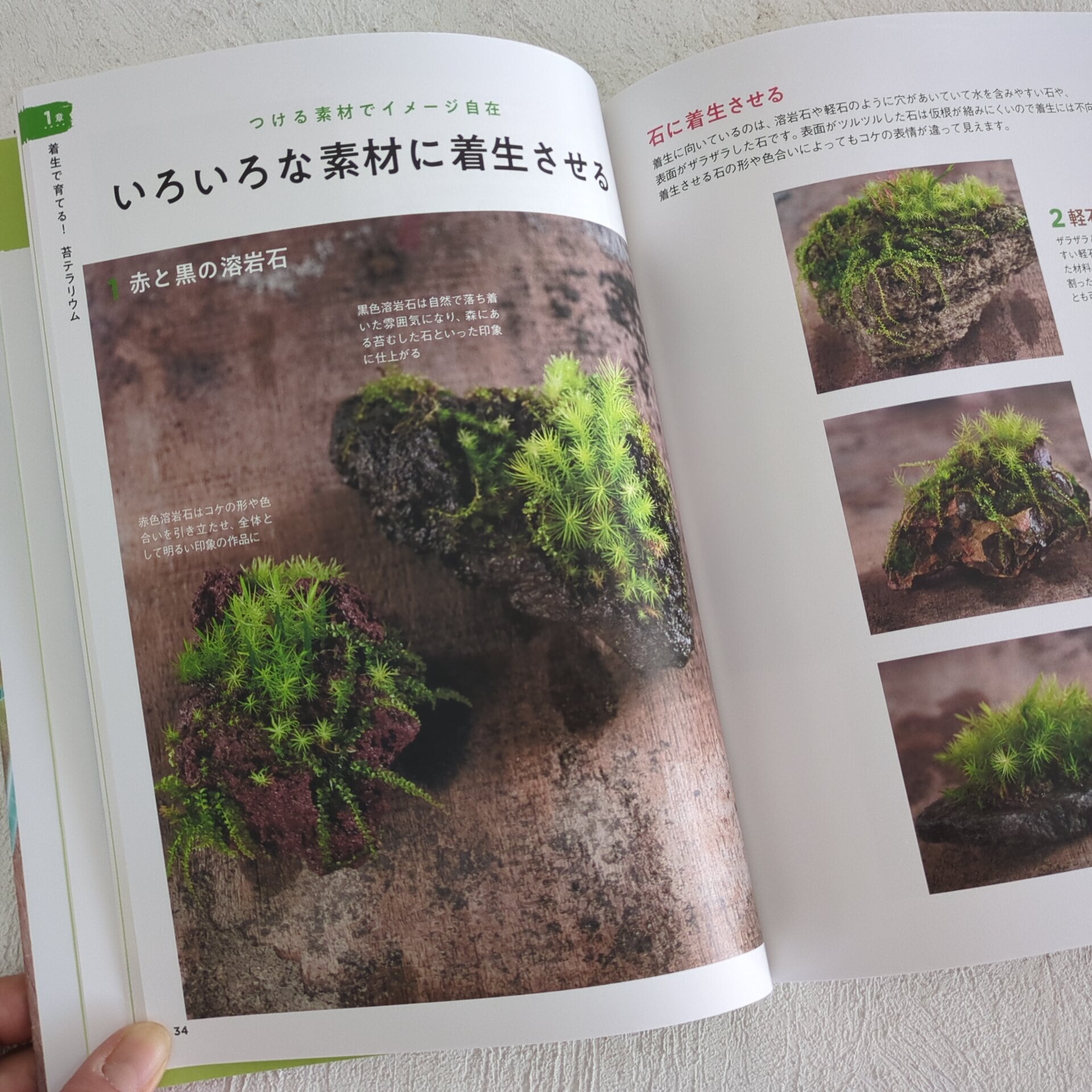 書籍「魅せる苔テラリウムの作り方」◇コケの着生のすべてがわかる