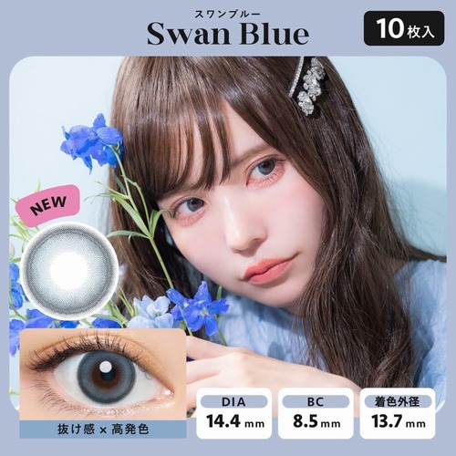 エンジェルカラー バンビ ワンデー(AngelColor Bambi 1day)《Swan Blue》 スワンブルー[10枚入り]