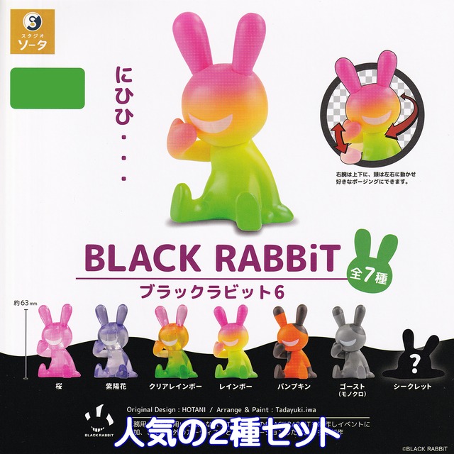 ブラックラビット6 SO-TA 【人気の2種セット】 BLACK RABBiT ウサギ 
