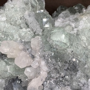 1点物！大家族ハリーが住みついている原石・大型フローライト原石クラスター