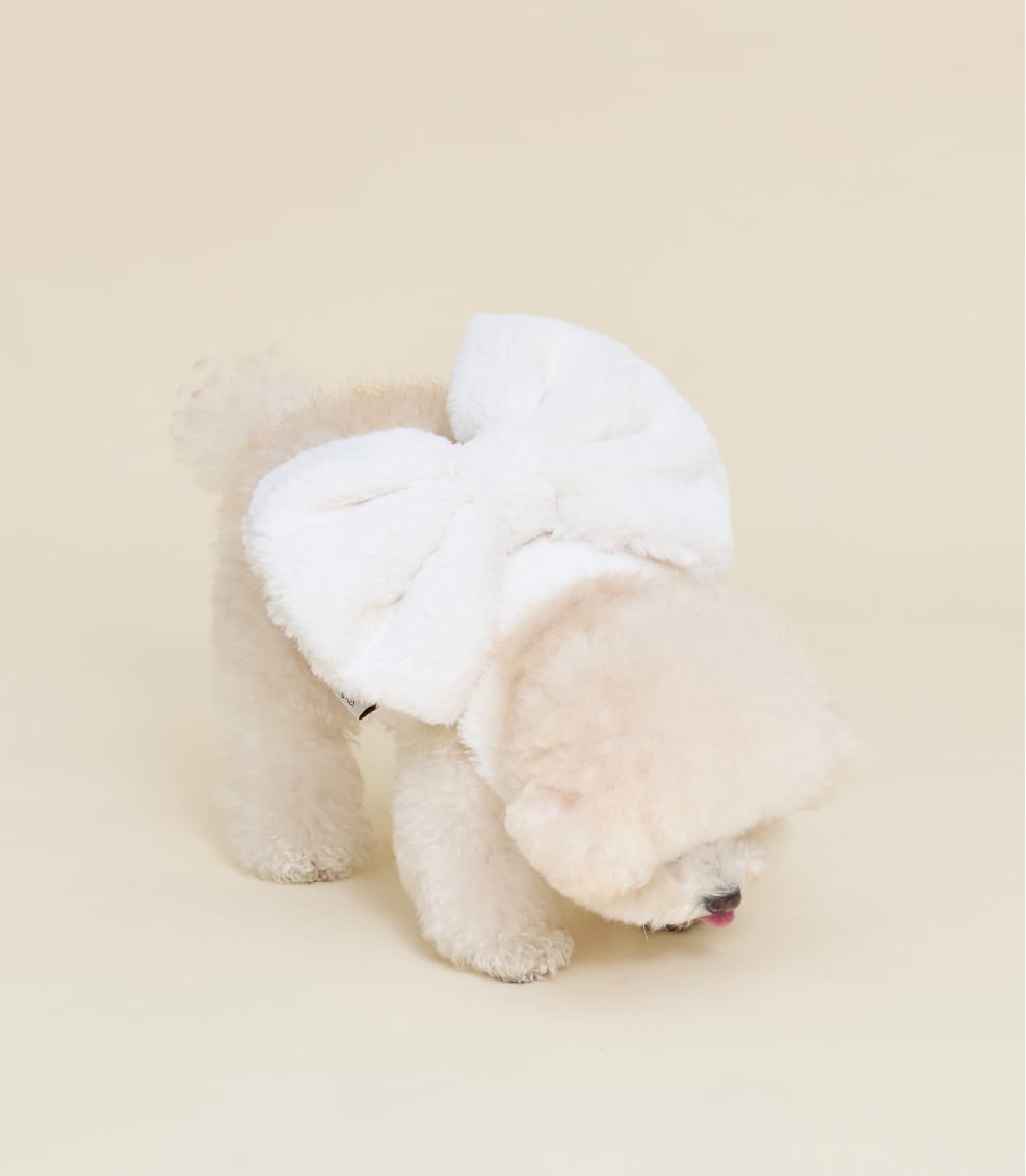 予約【meaningless】Roem Harness (White)