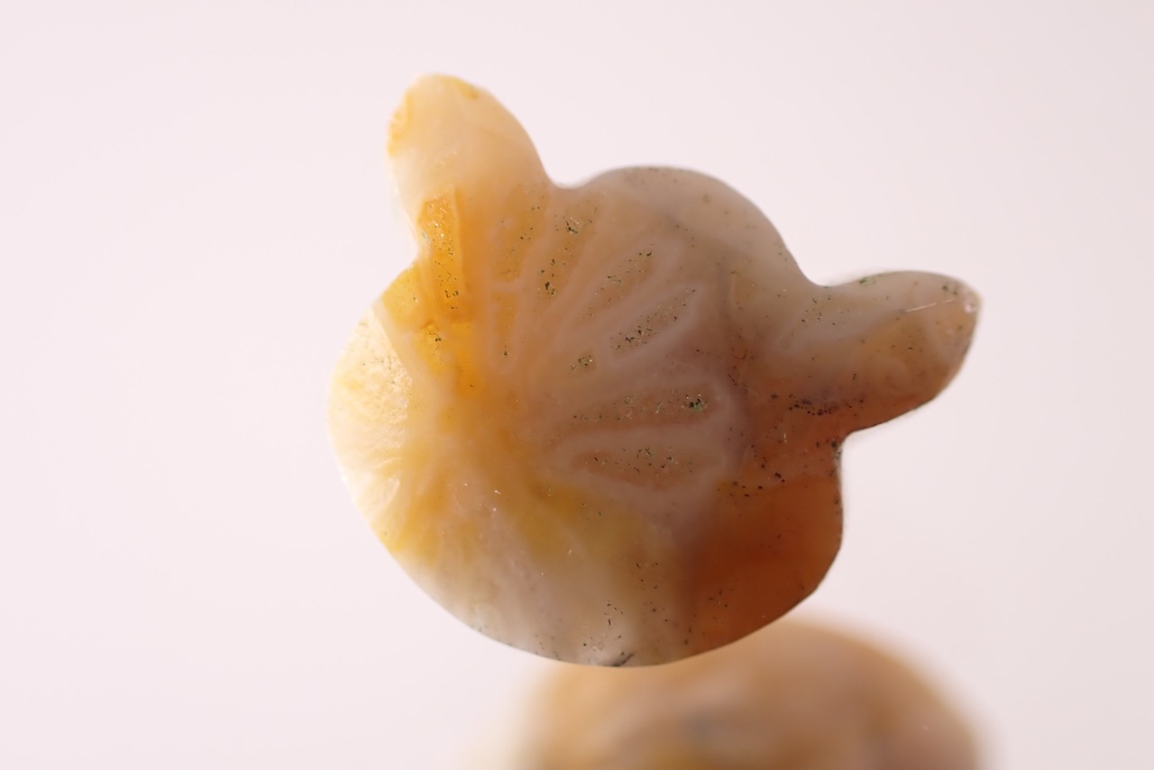 フォッシルコーラル(猫カット)　1.52ct　[D11‐576]