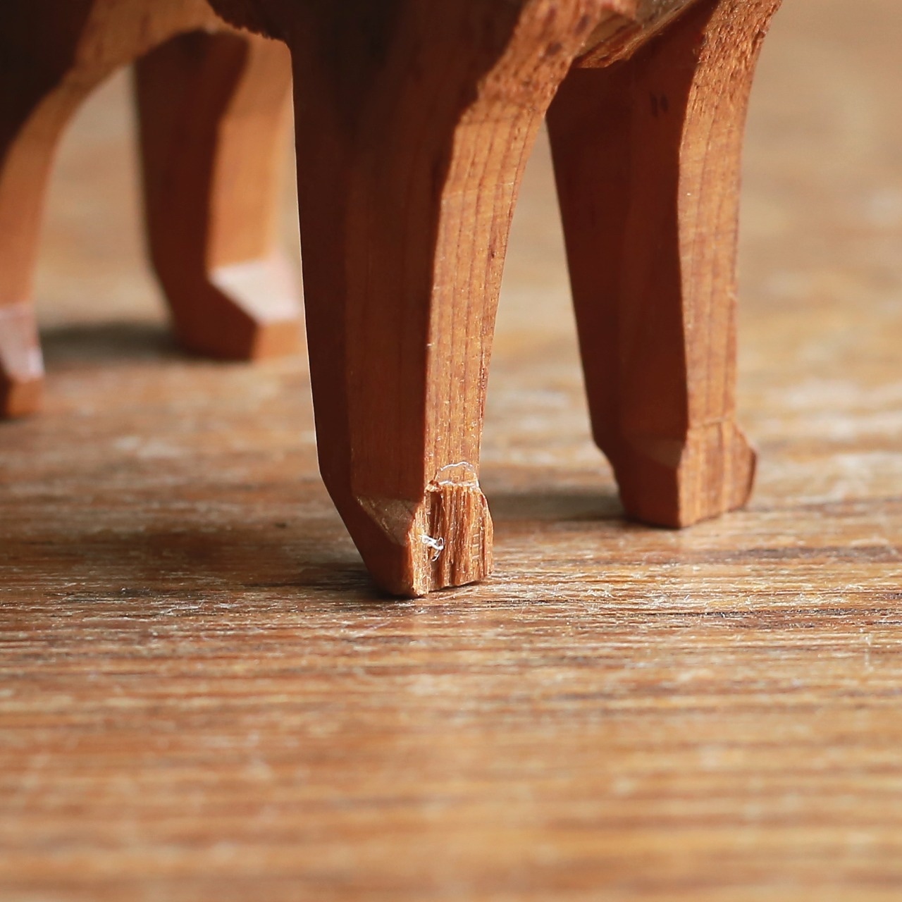 凛々しい立ち姿で、熱い視線を送る犬 1