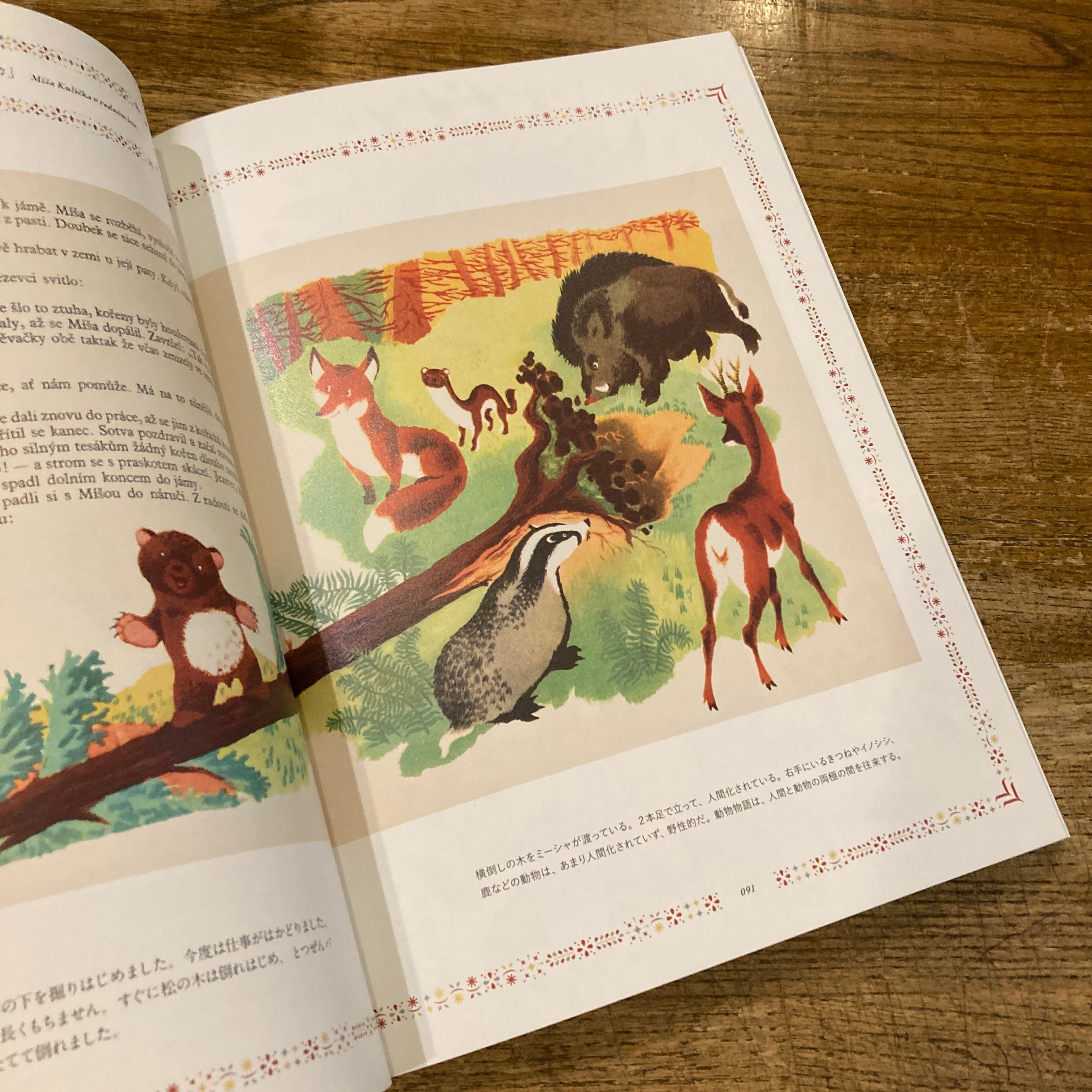 チェコの挿絵とおとぎ話の世界 / 海野弘 解説・監修 | 百年