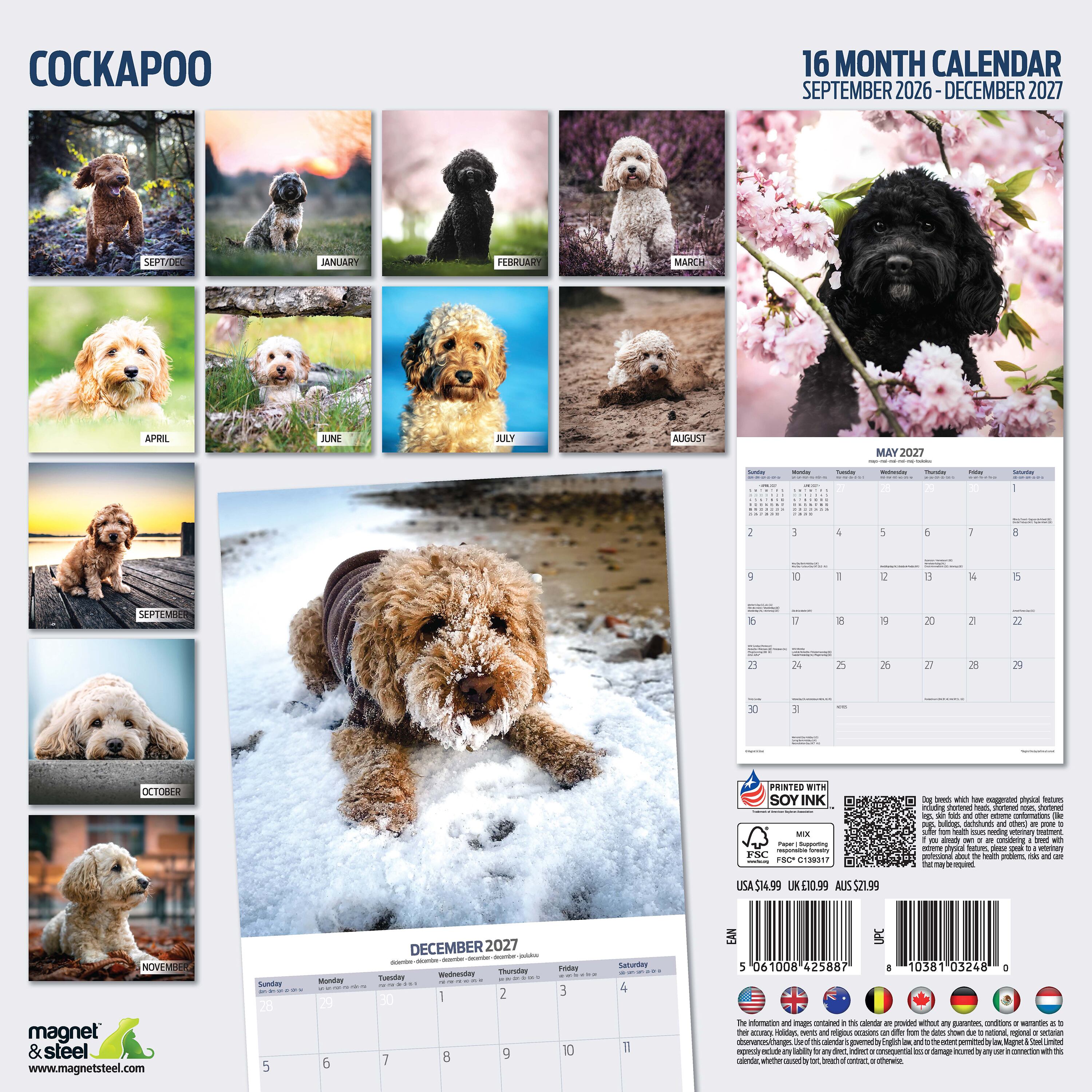 【2027年版】英国製犬種カレンダー【コッカプー】Traditional 2027年版