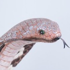 コブラワインラック ワインラック 樹脂彫刻ボトル グラスキングラトルスネークレッド  リビングルーム モダンアート ワインキャビネットデコレーション