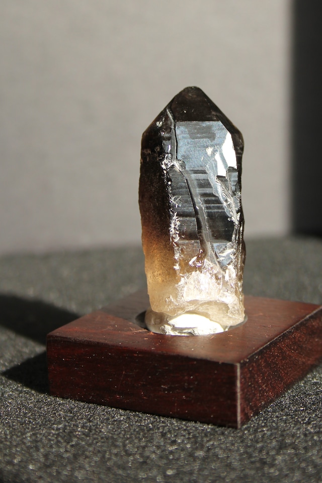 【2103】宮崎スモーキー ローズウッドベース大