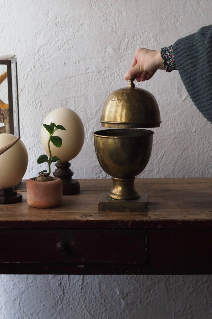 アンティークファーマシーポット-antique pharmacy & apothecary pot