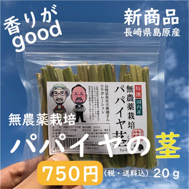 【長崎島原産】無農薬栽培パパイヤの茎 20g（税・送料込）